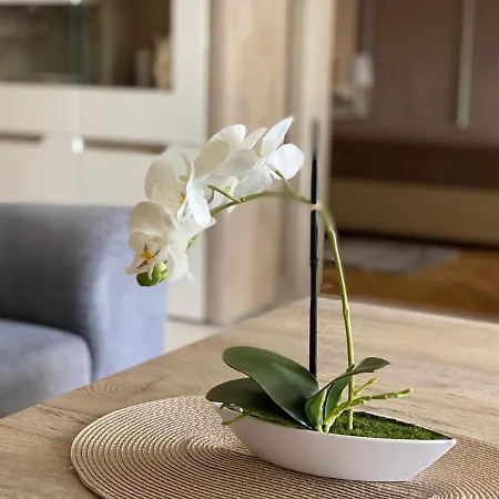 Sárga-kék Ház * Vonyarcvashegy