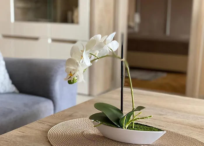 Sarga-kek Haz * Vonyarcvashegy